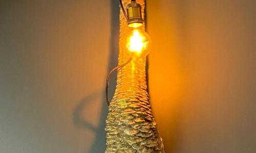 Hôtel Paulette Rouen Centre Cathédrale - photo 2