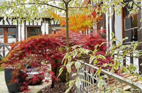 Hôtel de la Cathédrale - photo 15