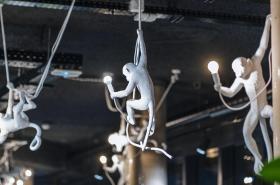 ibis budget Rouen Centre Rive Gauche - photo 24