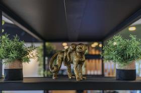 ibis budget Rouen Centre Rive Gauche - photo 23