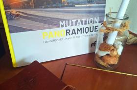 Bateau le Zimon - logement insolite - photo 12