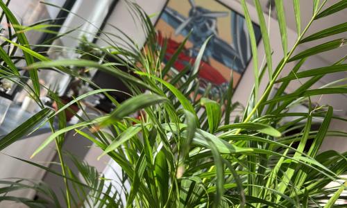 Hôtel Vieille Tour Centre - photo 1